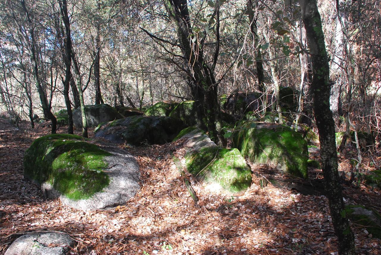 Sierra Trails Inn Mariposa Exteriér fotografie